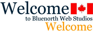 Blue North Web Studios - Dynamic Web Design in the Ottawa Valley